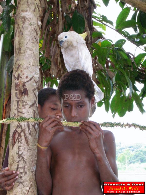 Papua Sepik and Blackwater River (Karavari Timbunke) - 069.jpg